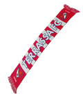 Bufanda a rayas Terrassa FC